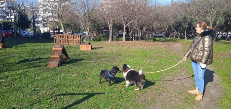πάρκο σκύλων Καλαμαριά