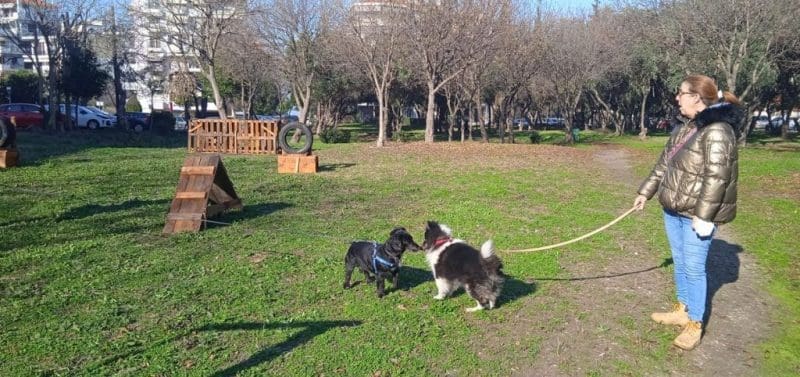 πάρκο σκύλων Καλαμαριά